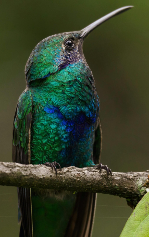 capture d’écran 2026 03 11 215425 a