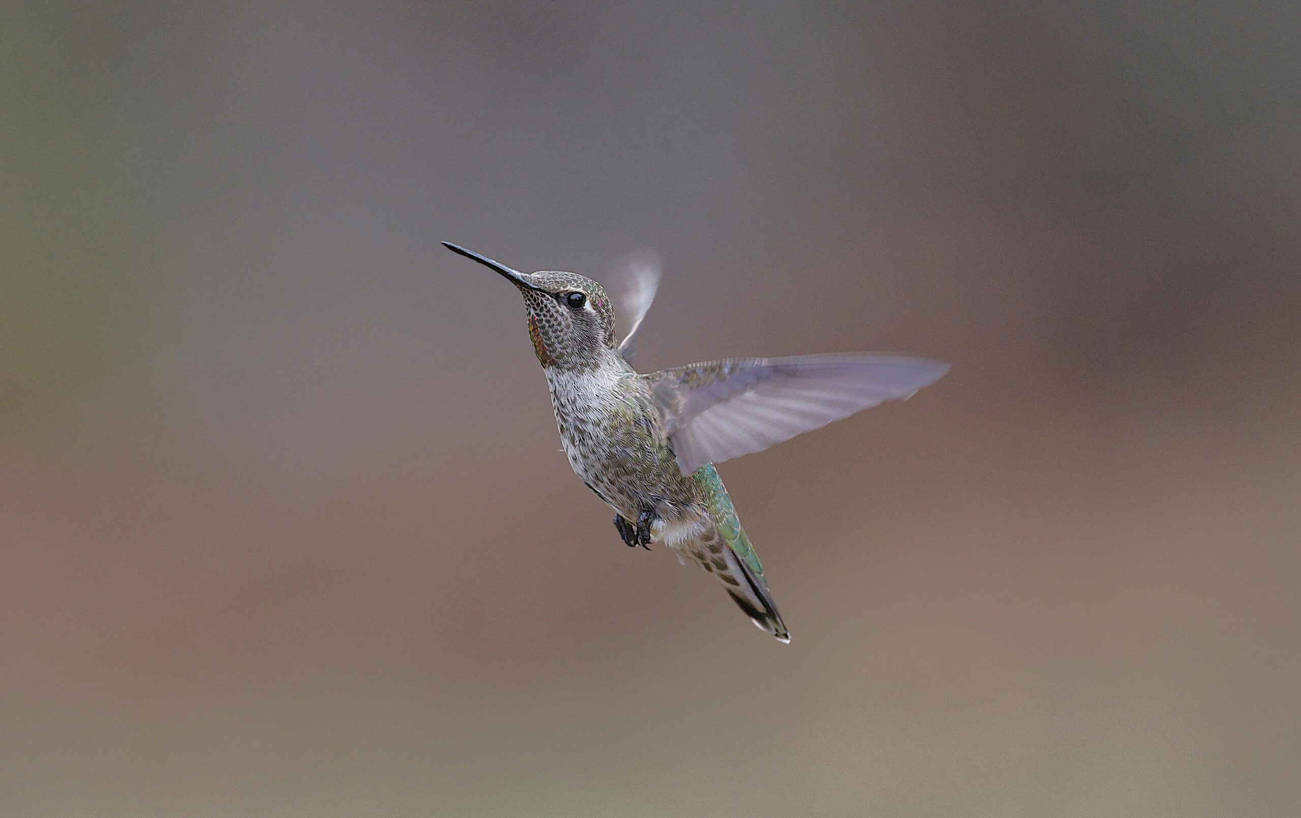 Ambiance Massothérapie